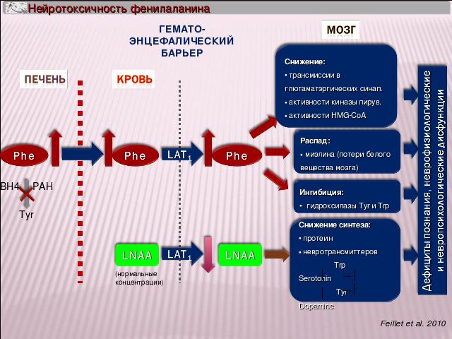 neirotox.jpg neirotox.jpg